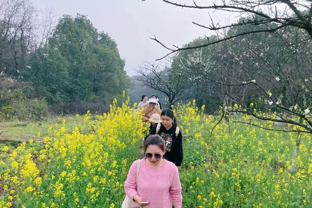 獻(xiàn)禮3.8節(jié)|勇做攀登者，奮進(jìn)新未來