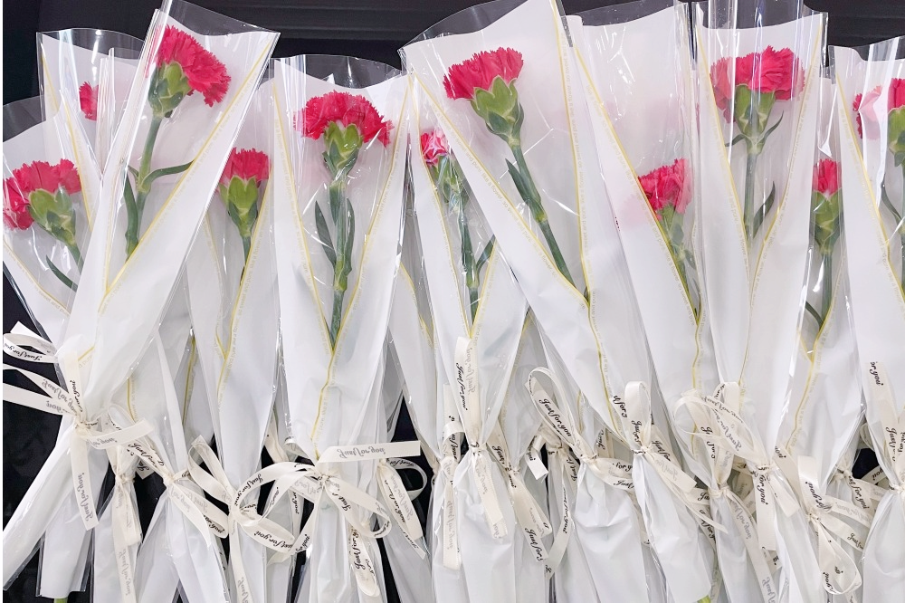 獻(xiàn)禮3.8節(jié)|勇做攀登者，奮進(jìn)新未來